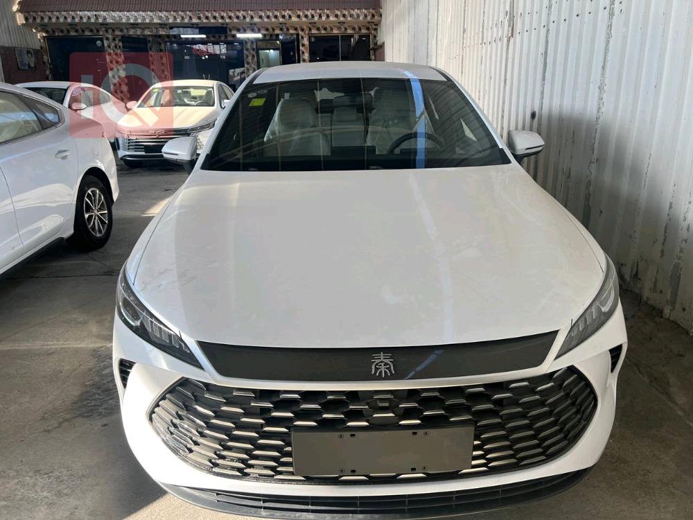 بی وای دی Qin Plus